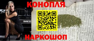 сатива Малгобек