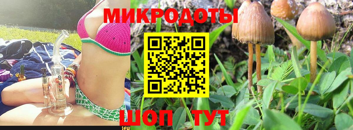 Псилоцибиновые грибы прущие грибы Геленджик