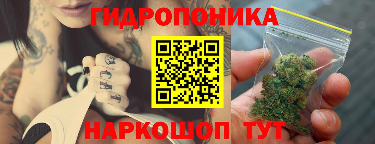 Шишки марихуана LSD WEED  Бошки марихуана план  Вход с VPN  Конопля план  Геленджик 